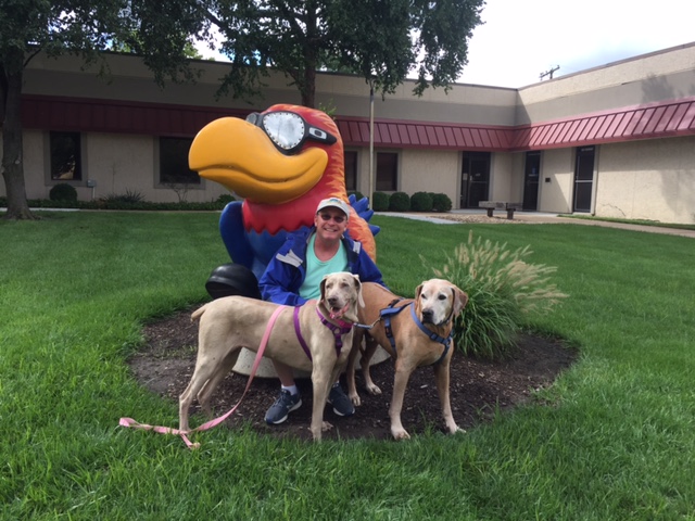 Man with dogs in front of a giant bird wearing sunglasses statue